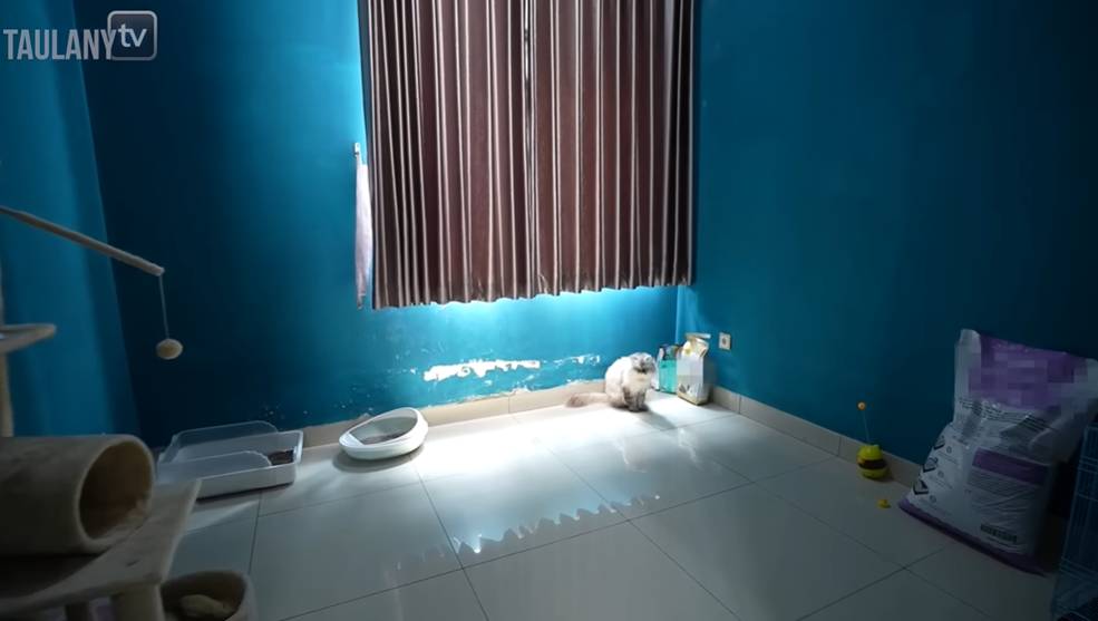 Rumah Dicky Difie (YouTube.com/TAULANY TV)