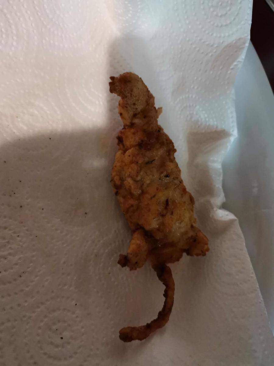 potret bentuk ayam goreng menyerupai sesuatu (reddit.com/user/C***-nuggets)