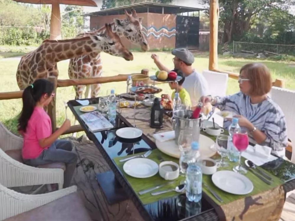 aktivitas lunch seru bersama jerapah di Royal Safari Garden. (instagram.com/royalsafari_garden)