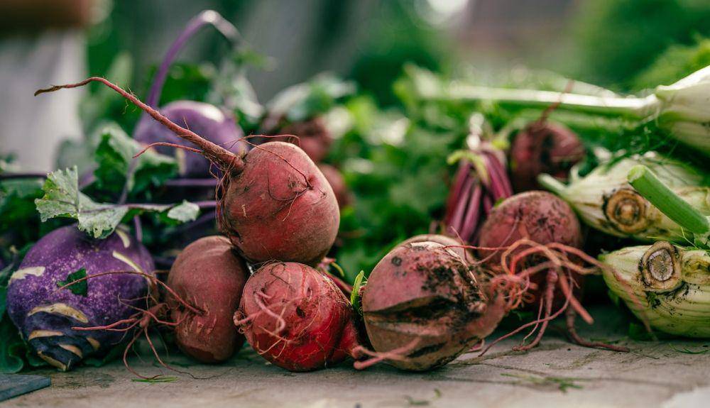 ilustrasi sayur bit (pexels.com/Chris F)