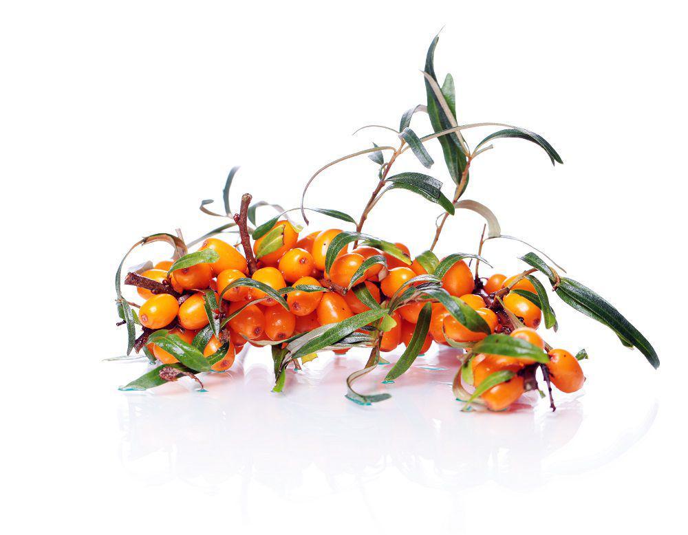 4 Rekomendasi Sea Buckthorn Oil Brand Lokal, Kaya Antioksidan