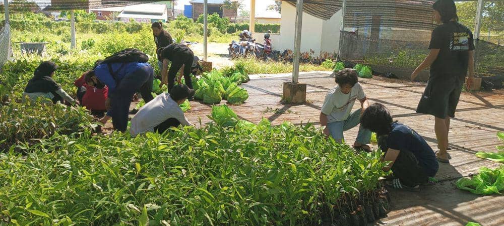 Bibit tanaman yang akan dibagikan dalam program Unhas Hijau pada PKKMB 2023, 14-19 Agustus 2023. (Dok. Biro Komunikasi Universitas Hasanuddin)