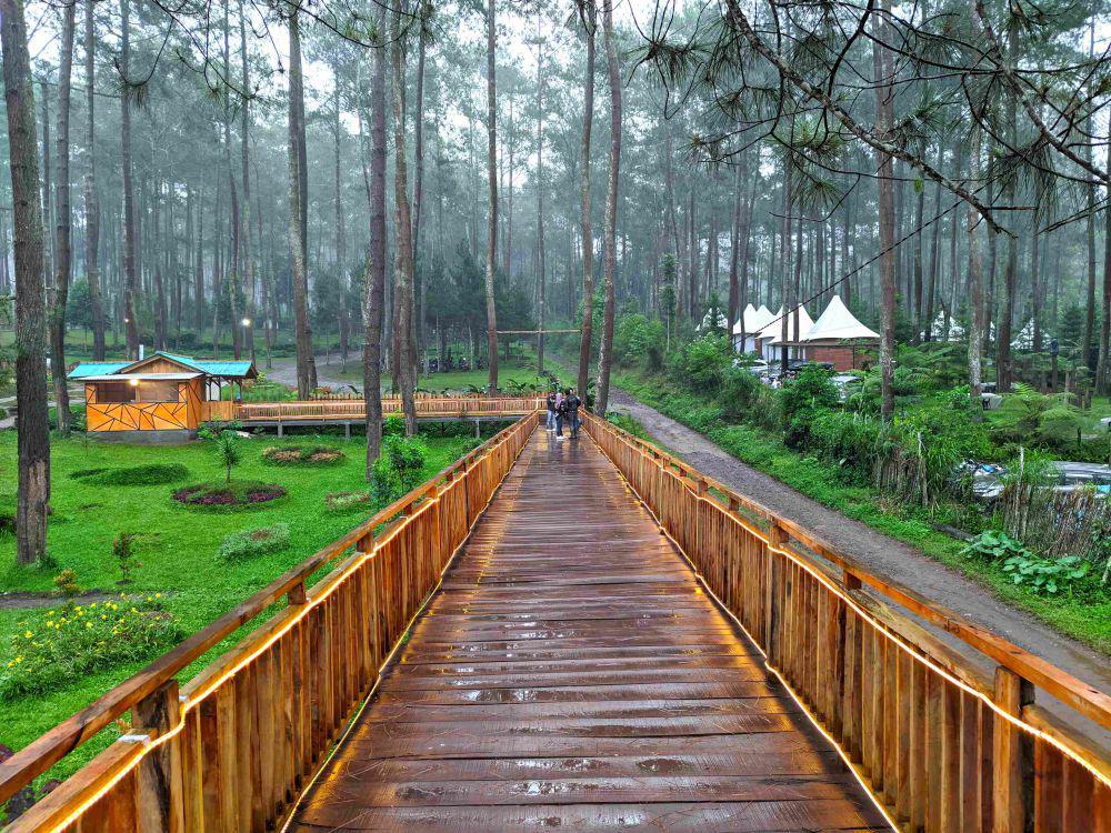 Taman Wisata Kebon Pines Lembang: Lokasi, Harga, dan Tips