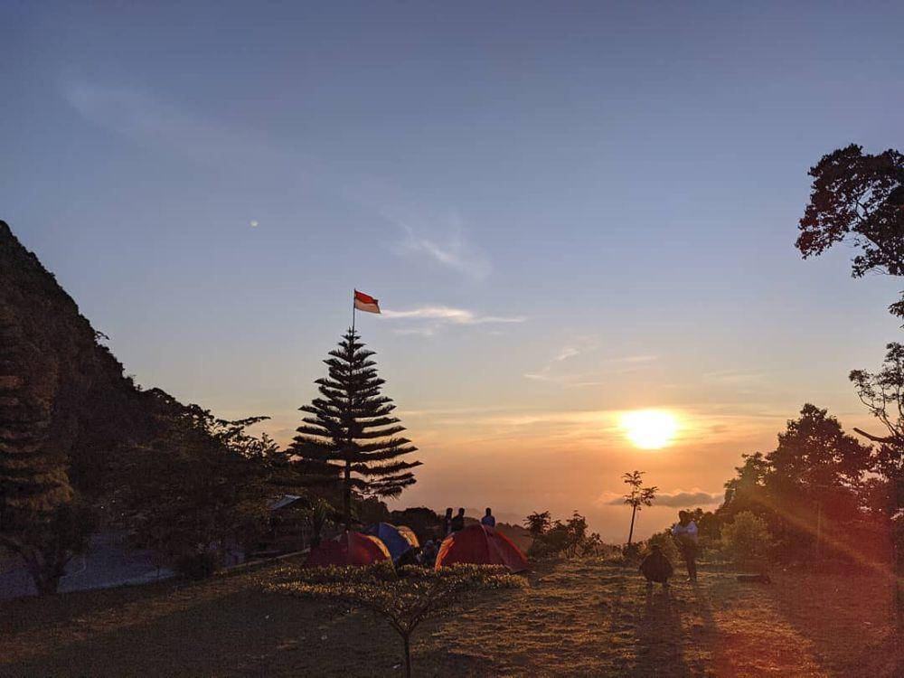Gazebo Wilis (instagram.com/gazebo_wilis)