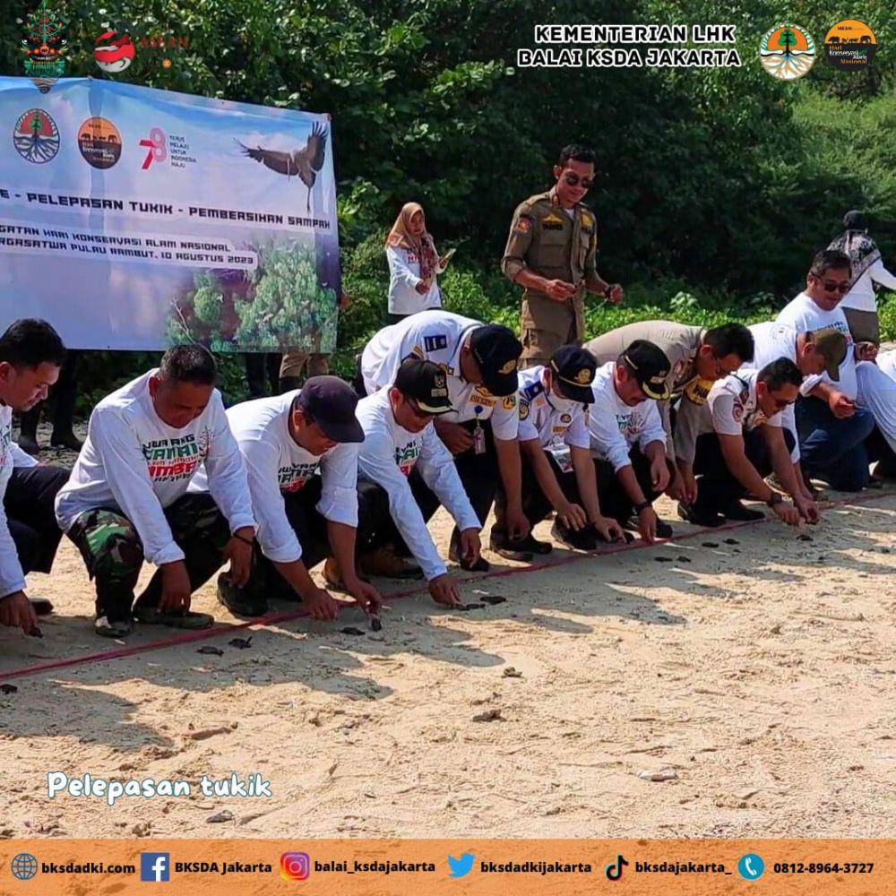 Pelepasliaran 150 ekor tukik penyu sisik (Eretmochelys imbricata) sebagai upaya peningkatan populasi penyu sisik di perairan Kepulauan Seribu. (Dok. KLHK)