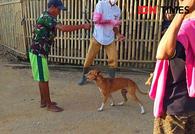 Tim Disnakeswan Kabupaten Bima saat vaksinasi anjing beberapa waktu lalu (Dok/Disnakeswan Kabupaten Bima)