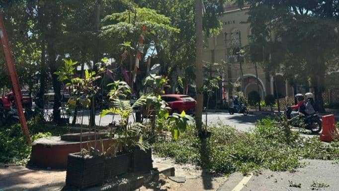 Kondisi penebangan pohon tanpa izin di Jalan Jenderal Sudirman, Kamis (10/8/2023). Dok. DLH Makassar