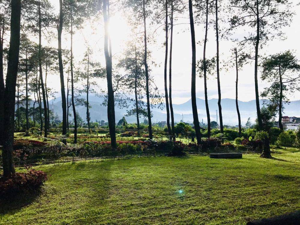 Taman Wisata Kebon Pines (instagram.com/kebon_pines)