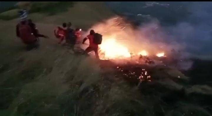Anak Gunung Pananggungan Kebakaran, 15 Hektare Vegetasi Hangus
