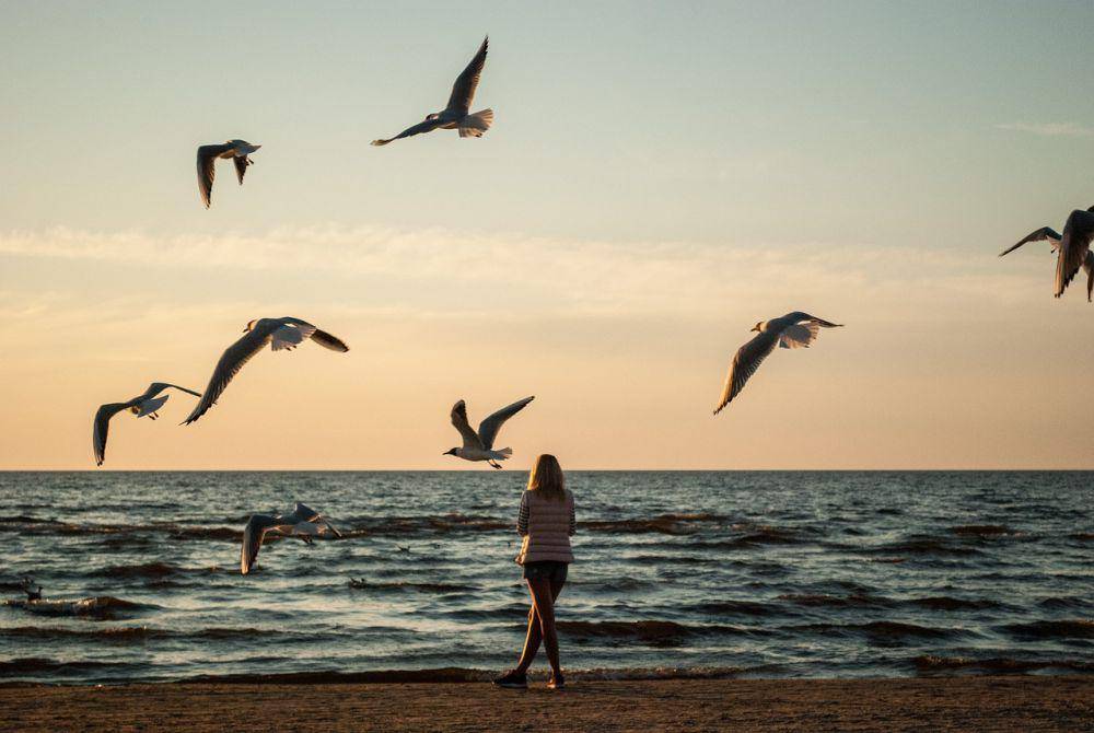 ilustrasi perempuan di pantai dan burung-burung beterbangan (pixabay.com/dmytro_R)