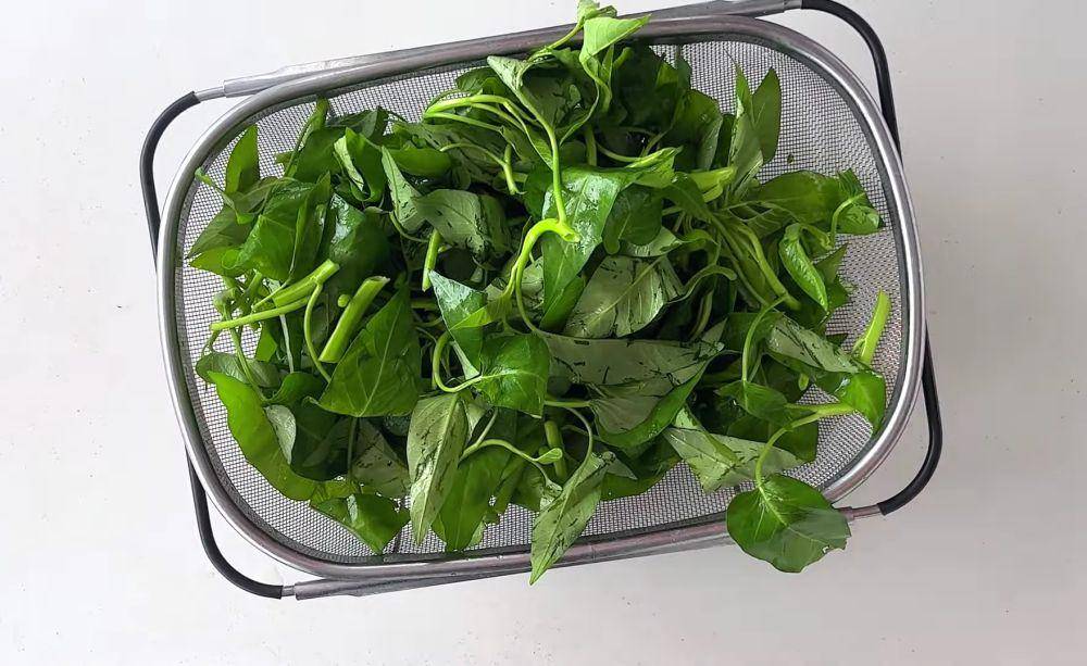 ilustrasi kangkung (YouTube.com/China Sichuan Food)