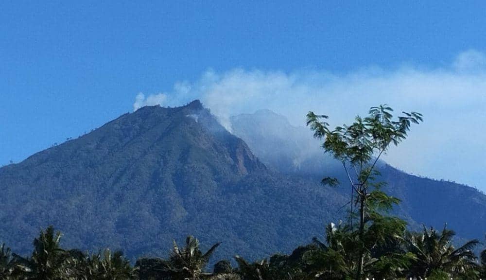 Hutan Merapi Ungup-ungup Kebakaran, Pemadaman Cuma Bisa Lewat Udara