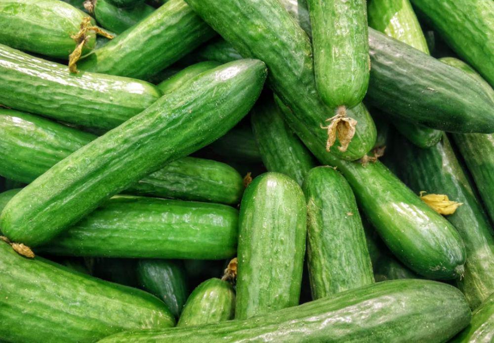 5 Tips Menyimpan Timun biar Tahan Lama dan Nutrisi Terjaga