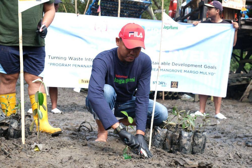 Ini Cara Mudah Menanam Bakau agar Tumbuh Besar Tahan Gelombang