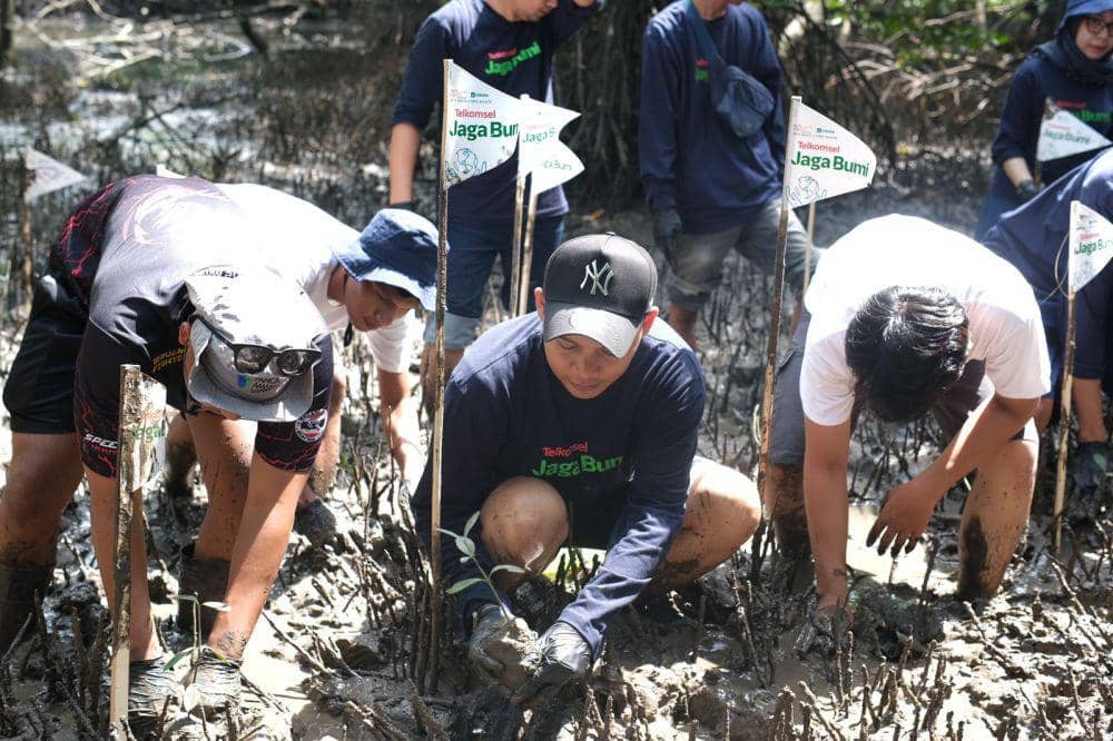 Telkomsel, Balikpapan Youth Spirit (BYS) Gen 5, dan Ciro Waste melakukan penanaman 200 bibit mangrove hasil konversi di lokasi Mangrove Centre Balikpapan, Sabtu (12/8/2023). Foto Telkomsel