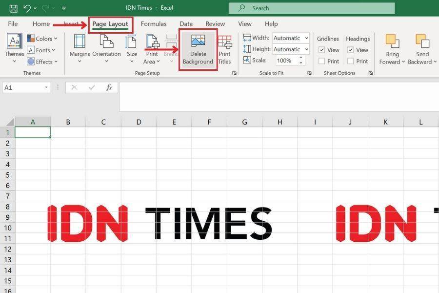 ilustrasi menghapus latar belakang di Excel (IDN Times/Laili)