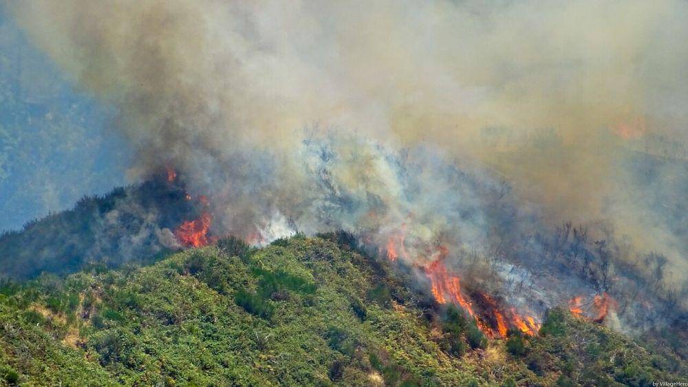 ilustrasi asap kebakaran hutan menyebabkan polusi udara (wikimedia.org/VillageHero)