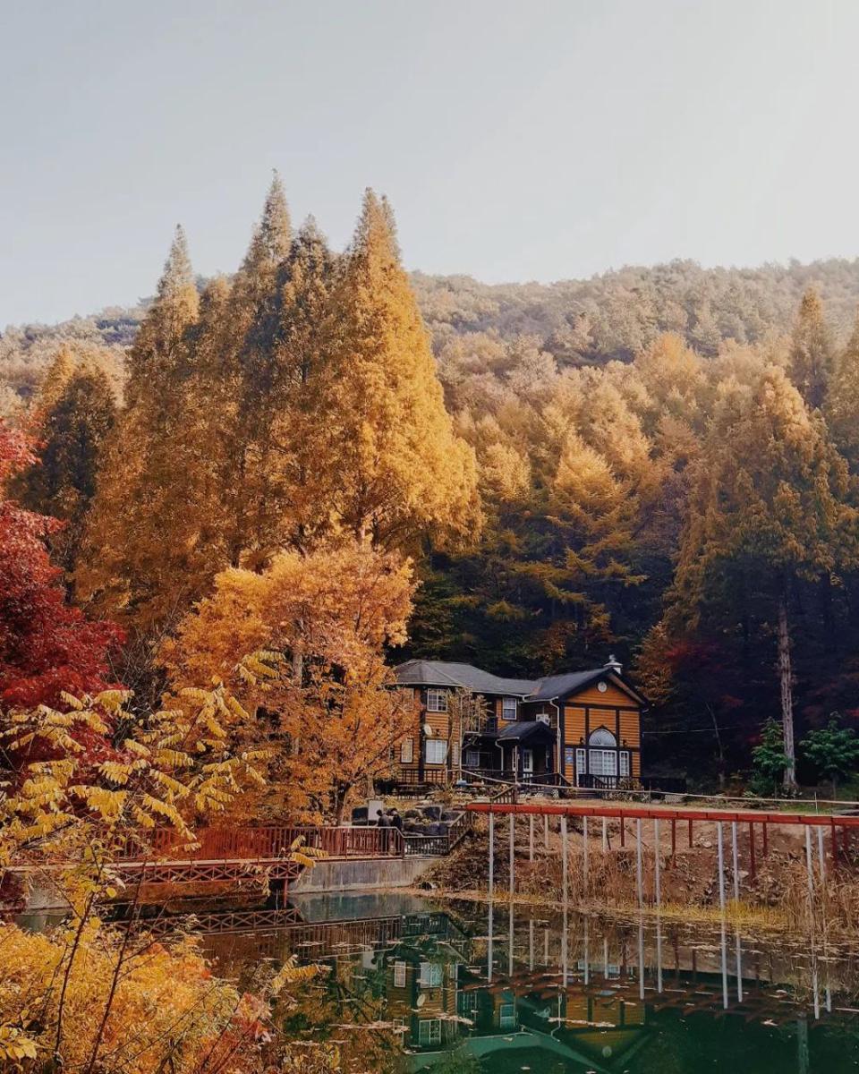 10 Potret The Onbit Forest, Destinasi Liburan Musim Gugur di Korea