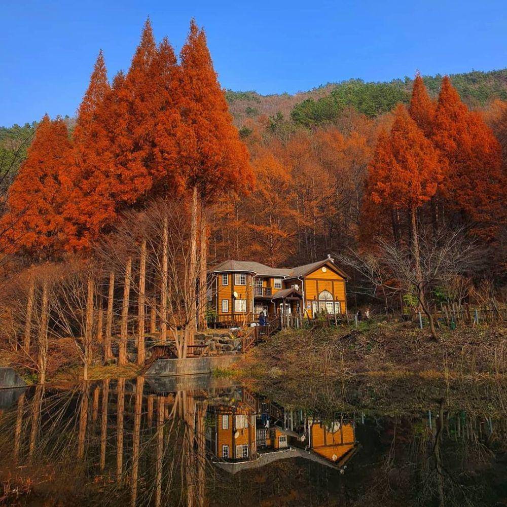 Nonsan Onbit Forest (instagram.com/daily_cloudnsky)