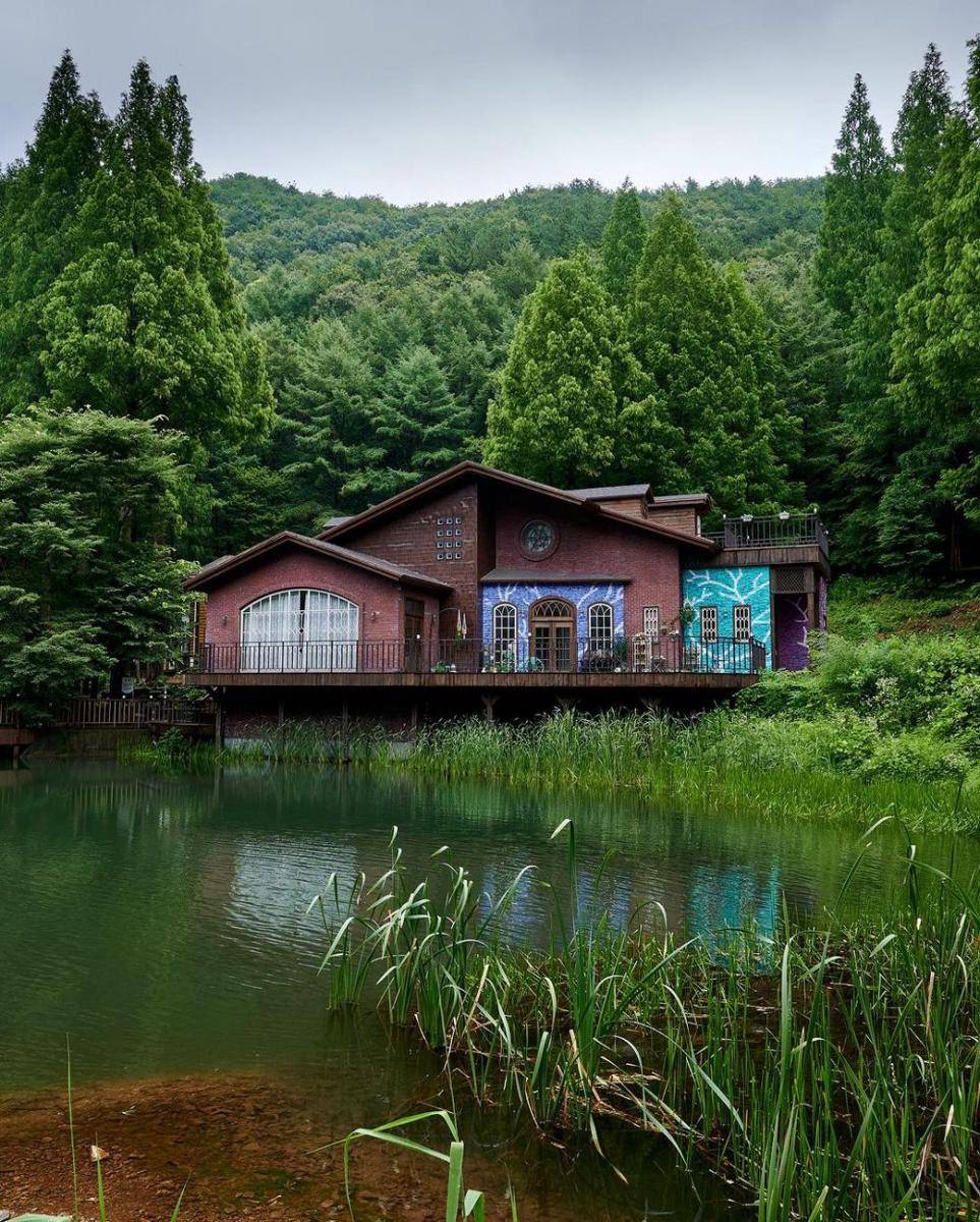 The Onbit Natural Recreation Forest (instagram.com/jin_hyung_cho)