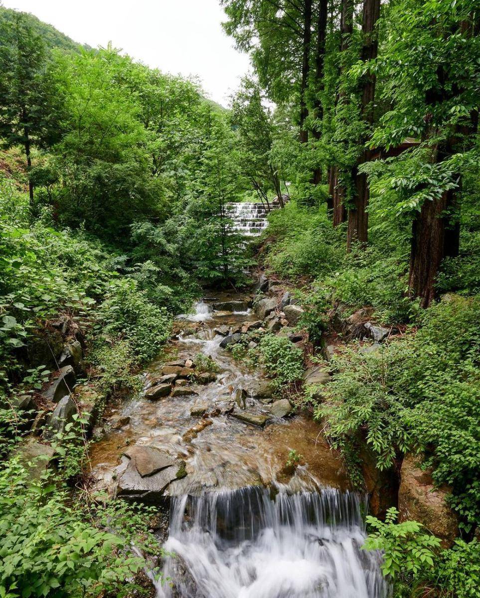 Nonsan Onbit Forest (instagram.com/jin_hyung_cho)