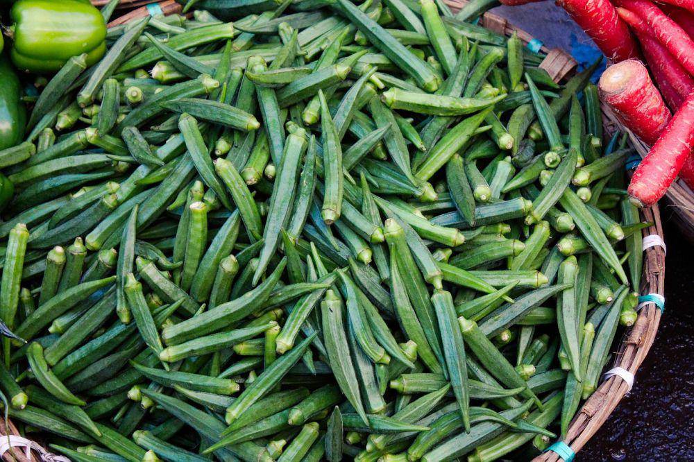 ilustrasi okra (pixabay.com/mirkosajkov)