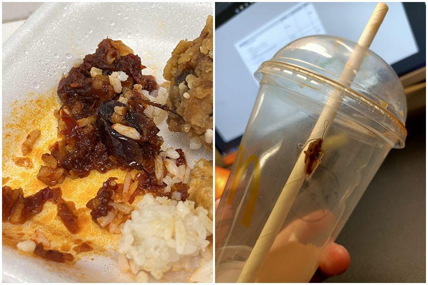 10 Momen Apes Nemu Kecoak di dalam Makanan, Jijik Banget!