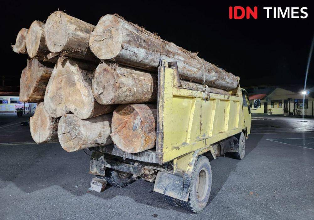 Bareskrim Bakal Terapkan Pasal TPPU Kasus Kayu Gelondongan Sumut