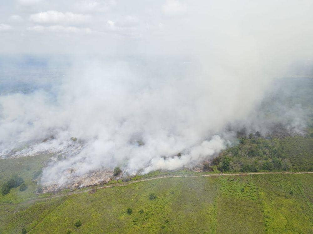 Pontianak Diselimuti Kabut Asap, Ada 1.174 Titik Panas di Kalbar
