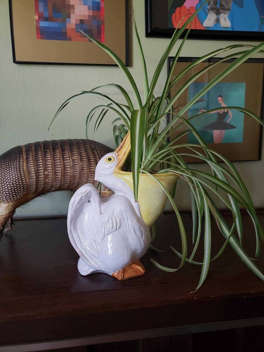 potret benda bentuk burung pelikan (reddit.com/user/LKMercantile)