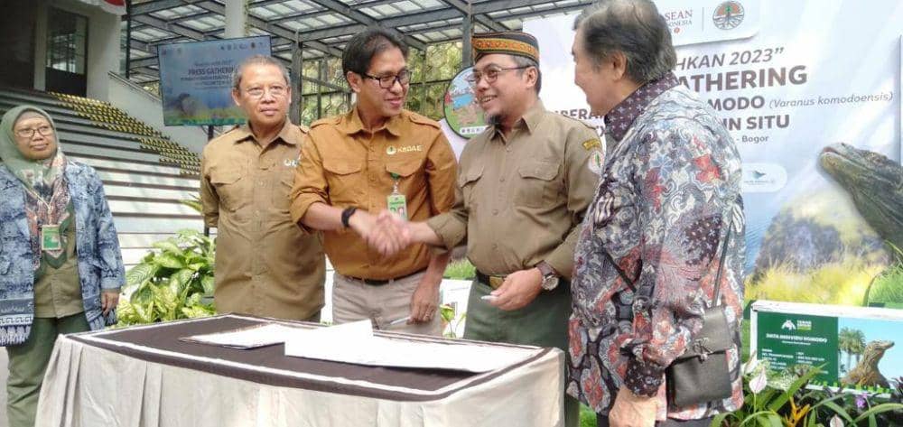 Kementerian Lingkungan Hidup dan Kehutanan (KLHK) memberangkatkan enam individu satwa liar jenis biawak komodo (Varanus komodoensis) dari Lembaga Konservasi Taman Safari Indonesia, Bogor, untuk kembali ke habitat alaminya di Cagar Alam (CA) Wae Wuul, Nusa Tenggara Timur. (Dok. KLHK)
