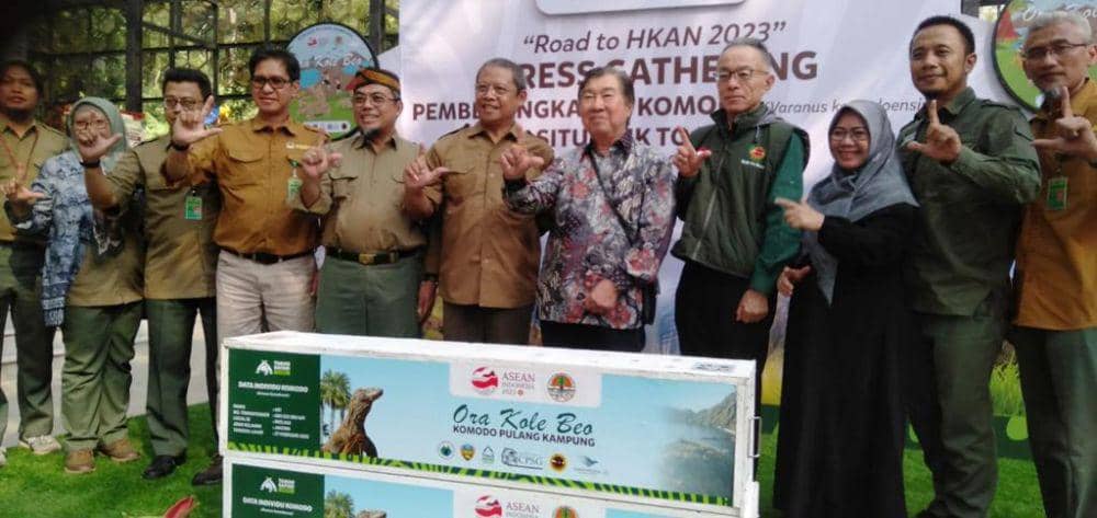 Kembali ke Habitat Alami, Enam Komodo 'Pulang Kampung'