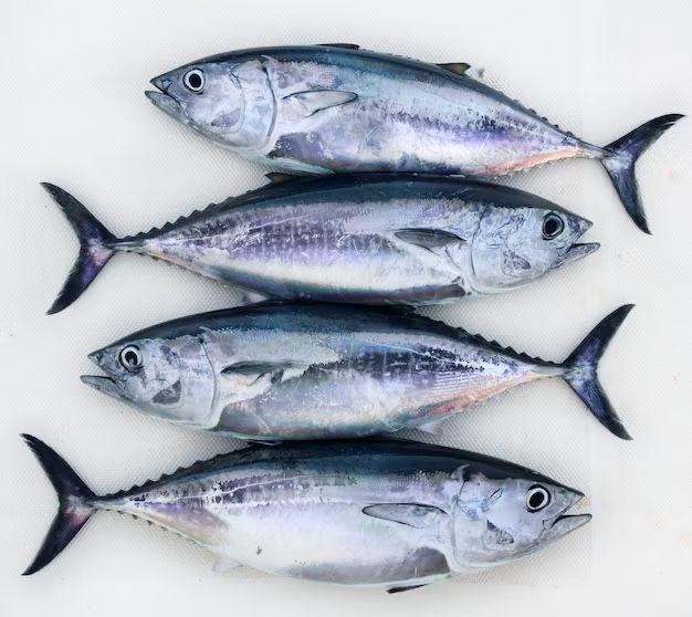 6 Tips Mengolah Ikan Tongkol dengan Lezat dan Sehat, Gak Keras!