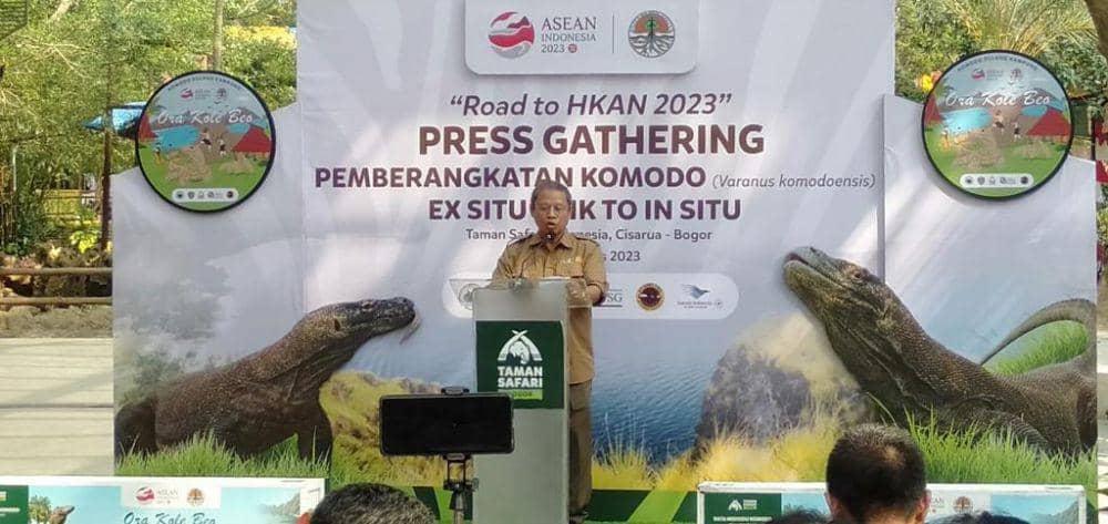 Kementerian Lingkungan Hidup dan Kehutanan (KLHK) memberangkatkan enam individu satwa liar jenis biawak komodo (Varanus komodoensis) dari Lembaga Konservasi Taman Safari Indonesia, Bogor, untuk kembali ke habitat alaminya di Cagar Alam (CA) Wae Wuul, Nusa Tenggara Timur. (Dok. KLHK)