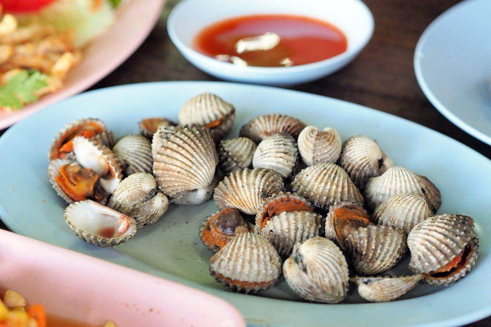Kerang darah rebus (pixabay.com/Eak K.)