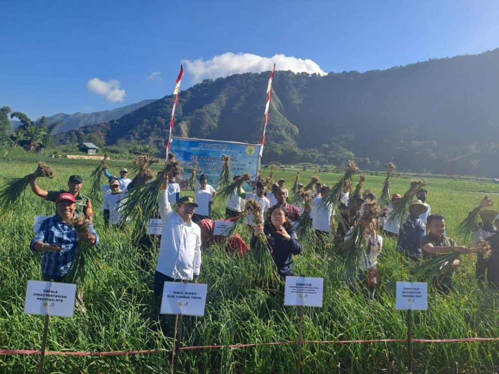 Kementan Optimistis Bibit Bawang Putih Lotim Penuhi Kebutuhan Petani