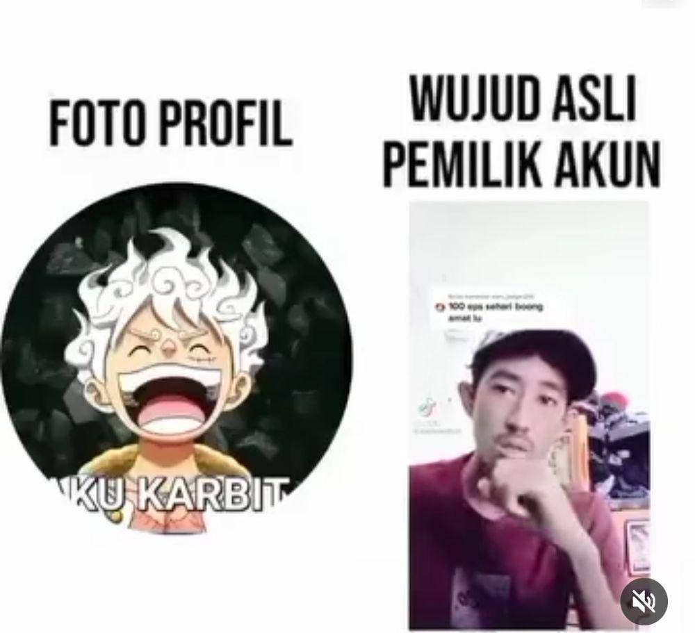 meme Luffy (instagram.com/shitpost_unfunny)
