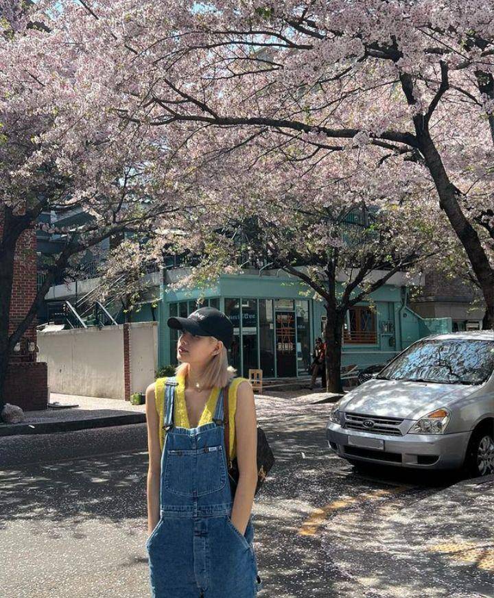 Lisa BLACKPINK (instagram.com/lalalalisa_m)
