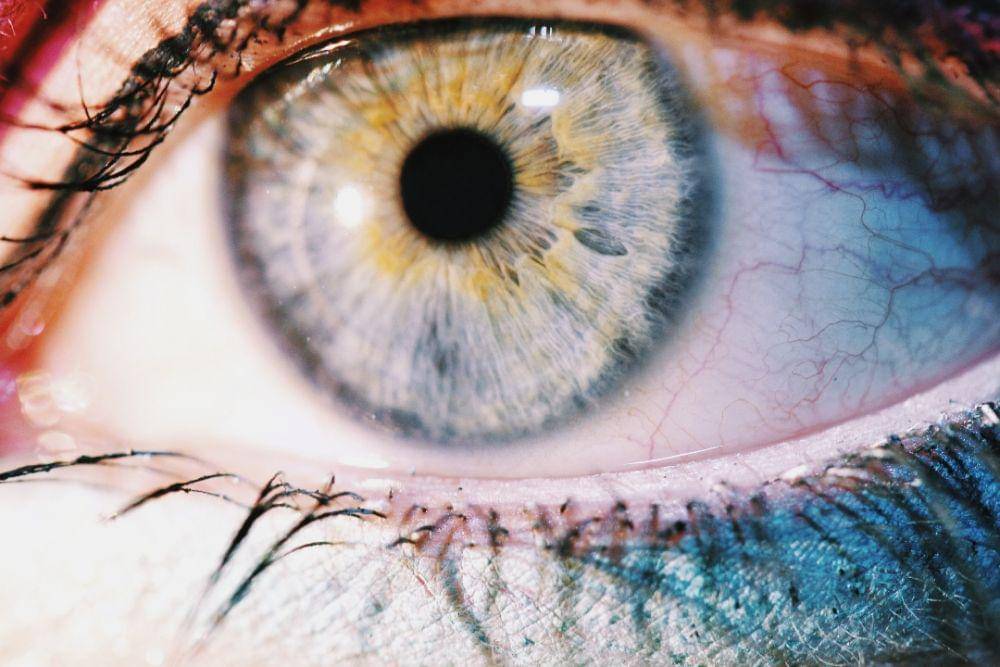 ilustrasi warna mata (pexels.com/Dominika Gregušová)