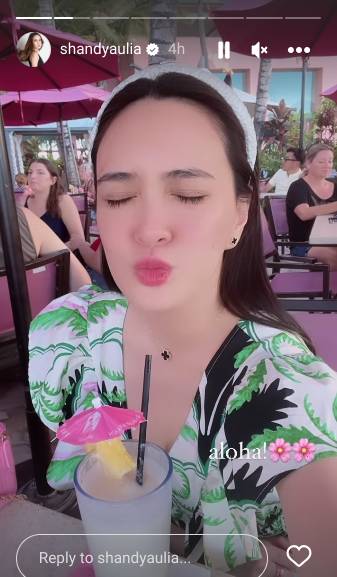 momen Shandy Aulia dan anak liburan di Hawaii (instagram.com/shandyaulia)