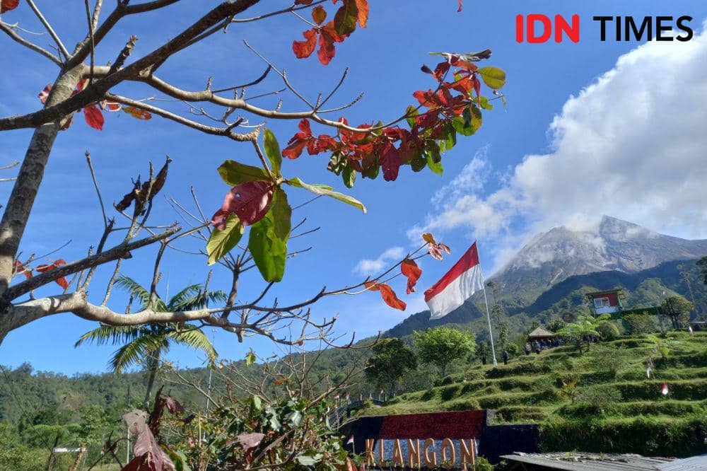 Pengibaran bendera Merah Putih raksasa di lereng Merapi Bukit Klangon, Padukuhan Kalitengah Lor, Glagaharjo, Cangkringan, Rabu (16/8/2023) pagi. (IDN Times/Herlambang Jati Kusumo)