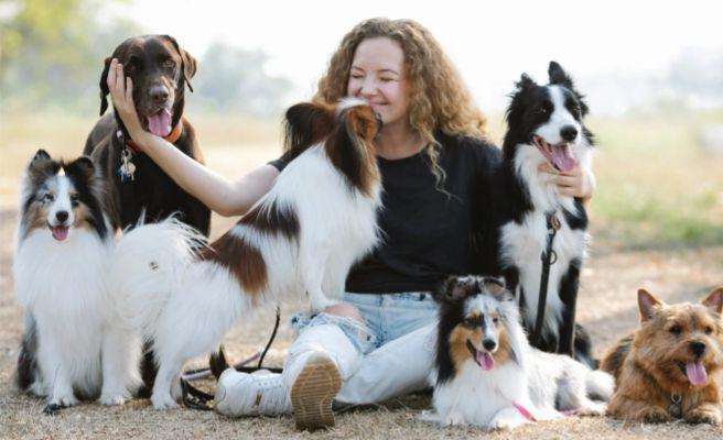 3 Alasan Anjing Suka Menjilati Pemiliknya, Ungkapan Sayang?