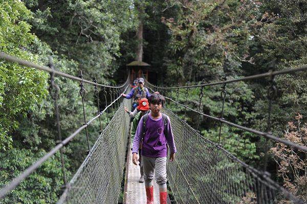 Canopy Trail (instagram.com/sekolahalam_id)
