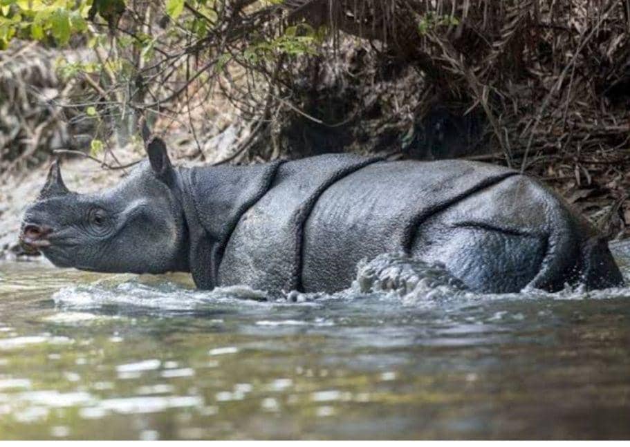 Mulai 1 November, Semenanjung TNUK Ditutup Untuk Wisatawan