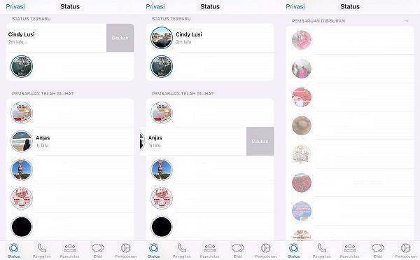 ilustrasi status Whatsapp yang dibisukan (IDN Times/Putri Intan Nur Fauziah)