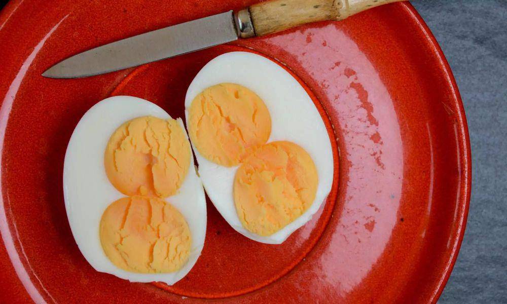 potret momen unik saat memasak telur (reddit.com/user/thechosenmeow)