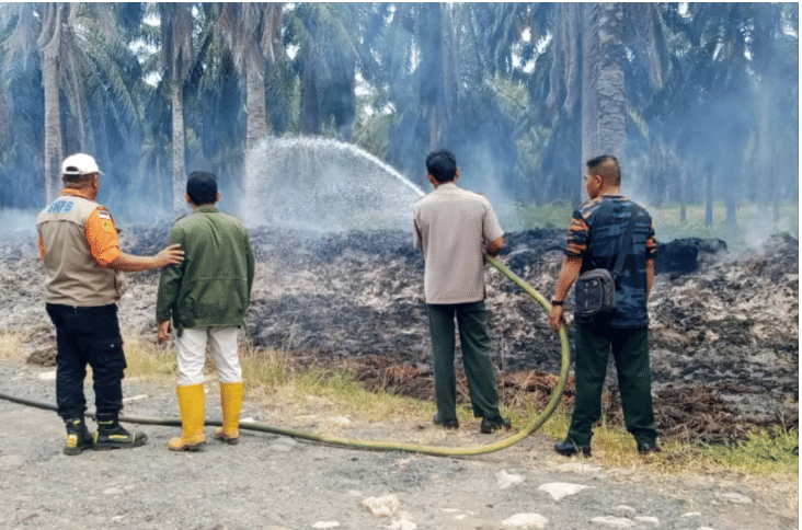 Badan Penanggulangan Bencana Daerah (BPBD) Kabupaten Paser saat melakukan pemadaman terhadap kebakaran lahan. (Antaranews Kaltim/R.Wartono)