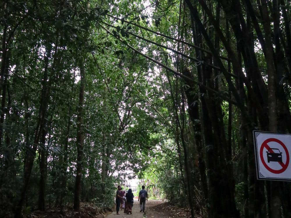 Memasuki area hutan bambu yang teduh (Dok.Pribadi/Natalia Indah)
