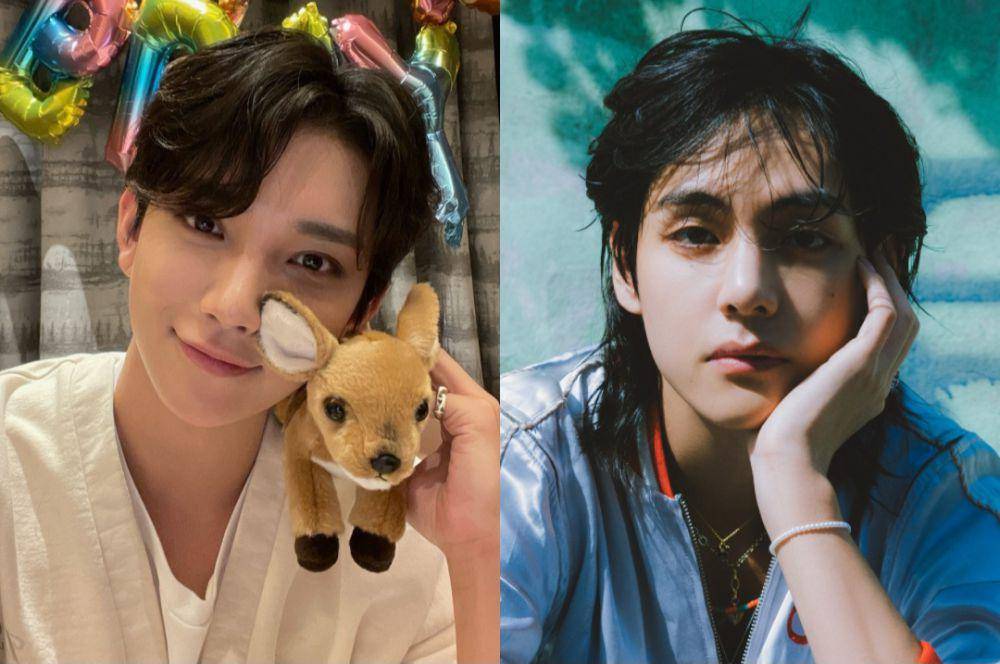 Joshua SEVENTEEN dan V BTS (twitter.com/pledis_17 | weverse.io/bts)