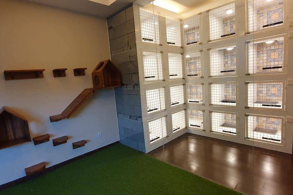 Arnamir Pet Hotel (Facebook.com/Arnamir Hotel Kucing & Spa)